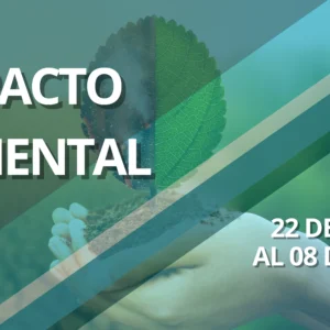 IMPACTO AMBIENTAL